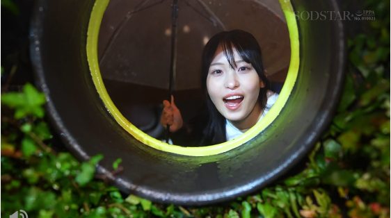 新川空 プロフィール